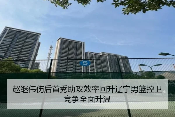 赵继伟伤后首秀助攻效率回升辽宁男篮控卫竞争全面升温 - HaoBo